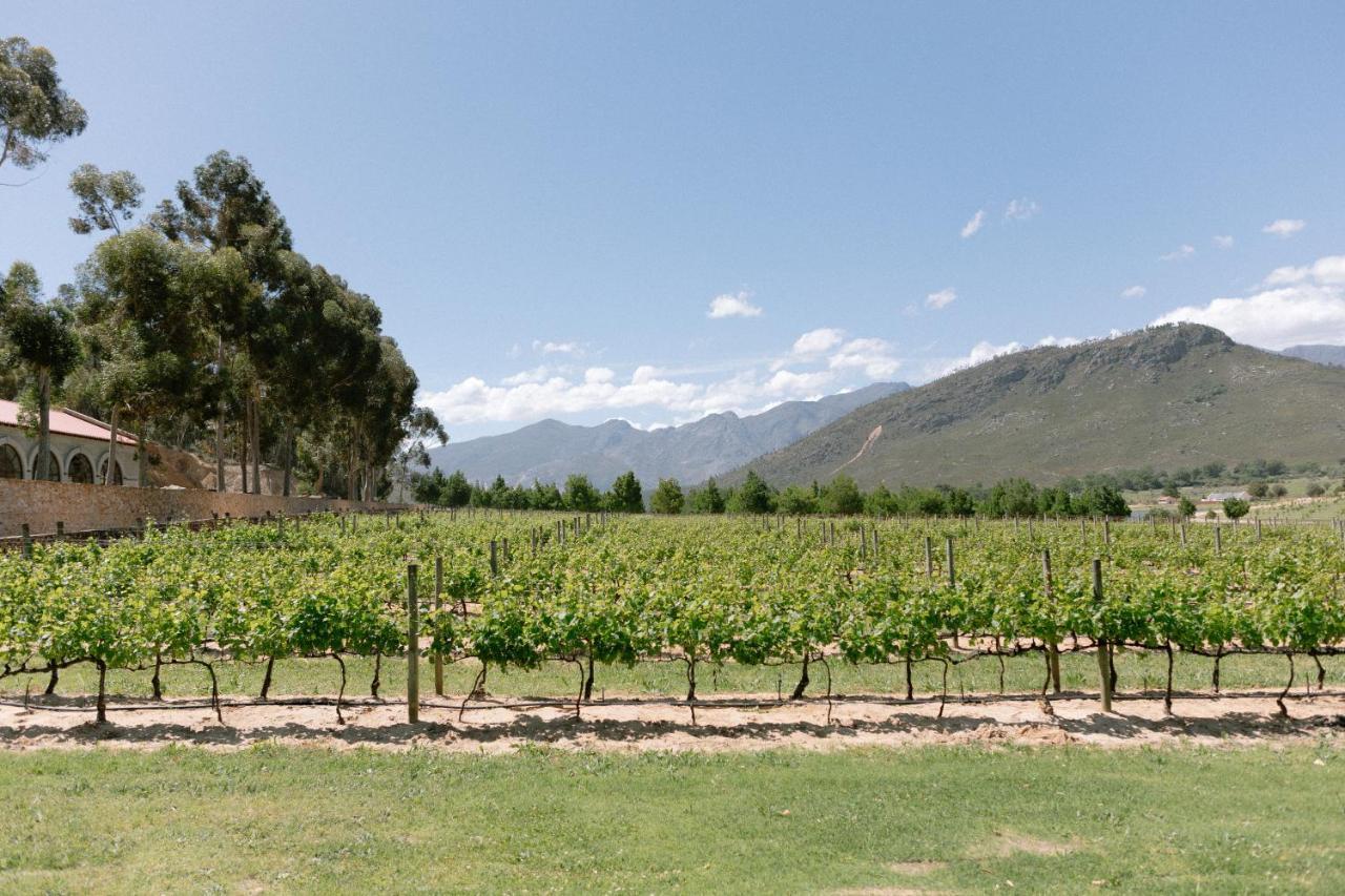 La Roche Estate Apartman Franschhoek Kültér fotó